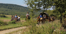 Galeria zdjęć